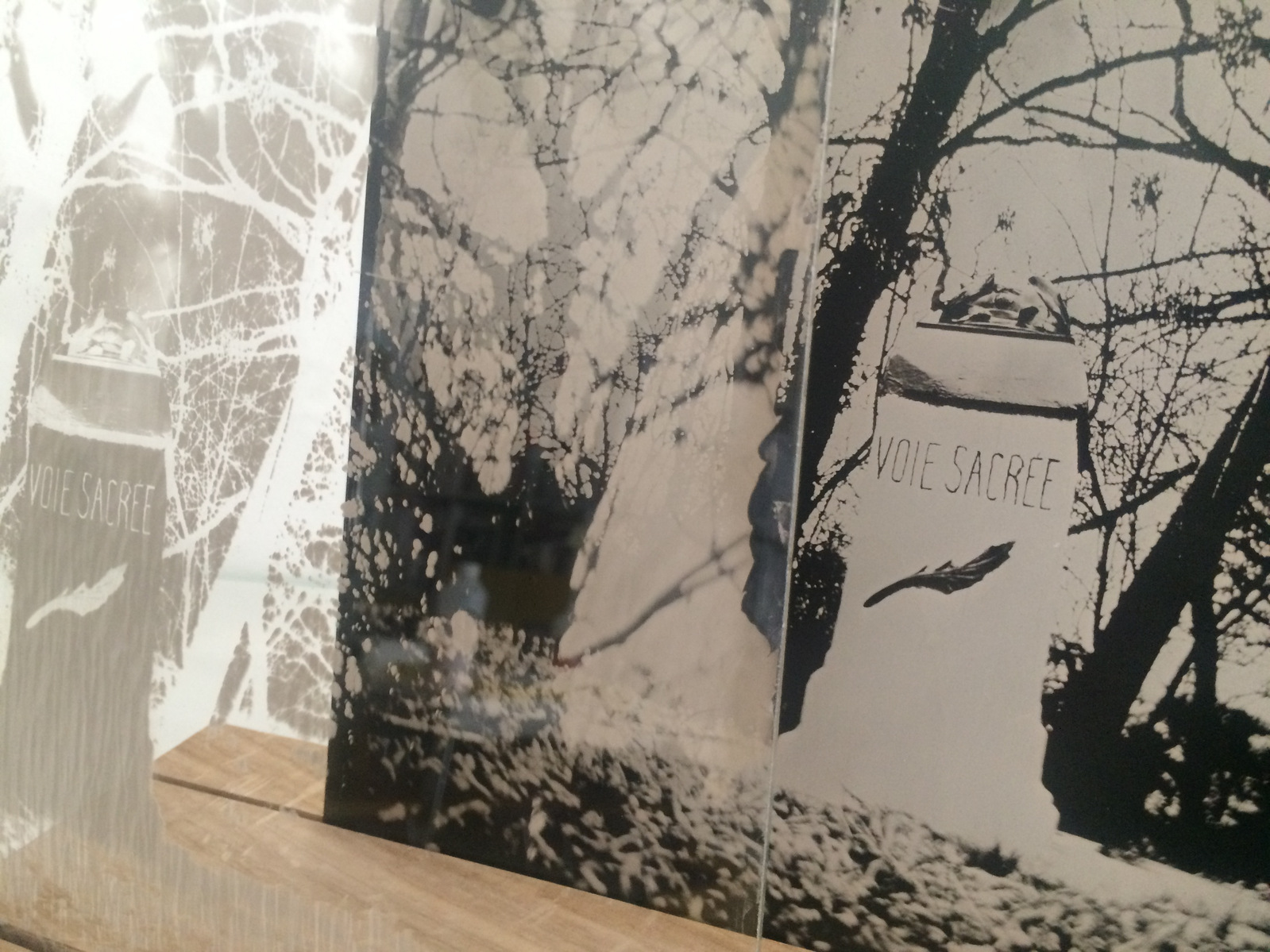 www.melaniejanefrey.com
collodion humide
wetplate collodion
tintype
ferrotype
melanie-jane frey
photographe plasticienne
visual artist
art contemporain
World War 1
Première guerre mondiale
Large format camera