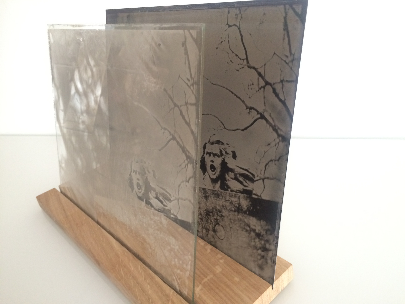 www.melaniejanefrey.com
collodion humide
wetplate collodion
tintype
ferrotype
melanie-jane frey
photographe plasticienne
visual artist
art contemporain
World War 1
Première guerre mondiale
Large format camera