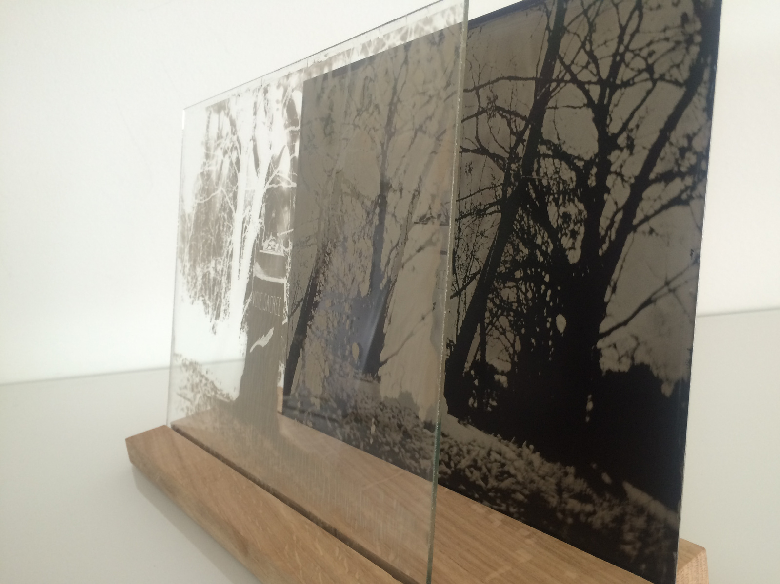 www.melaniejanefrey.com
collodion humide
wetplate collodion
tintype
ferrotype
melanie-jane frey
photographe plasticienne
visual artist
art contemporain
World War 1
Première guerre mondiale
Large format camera
