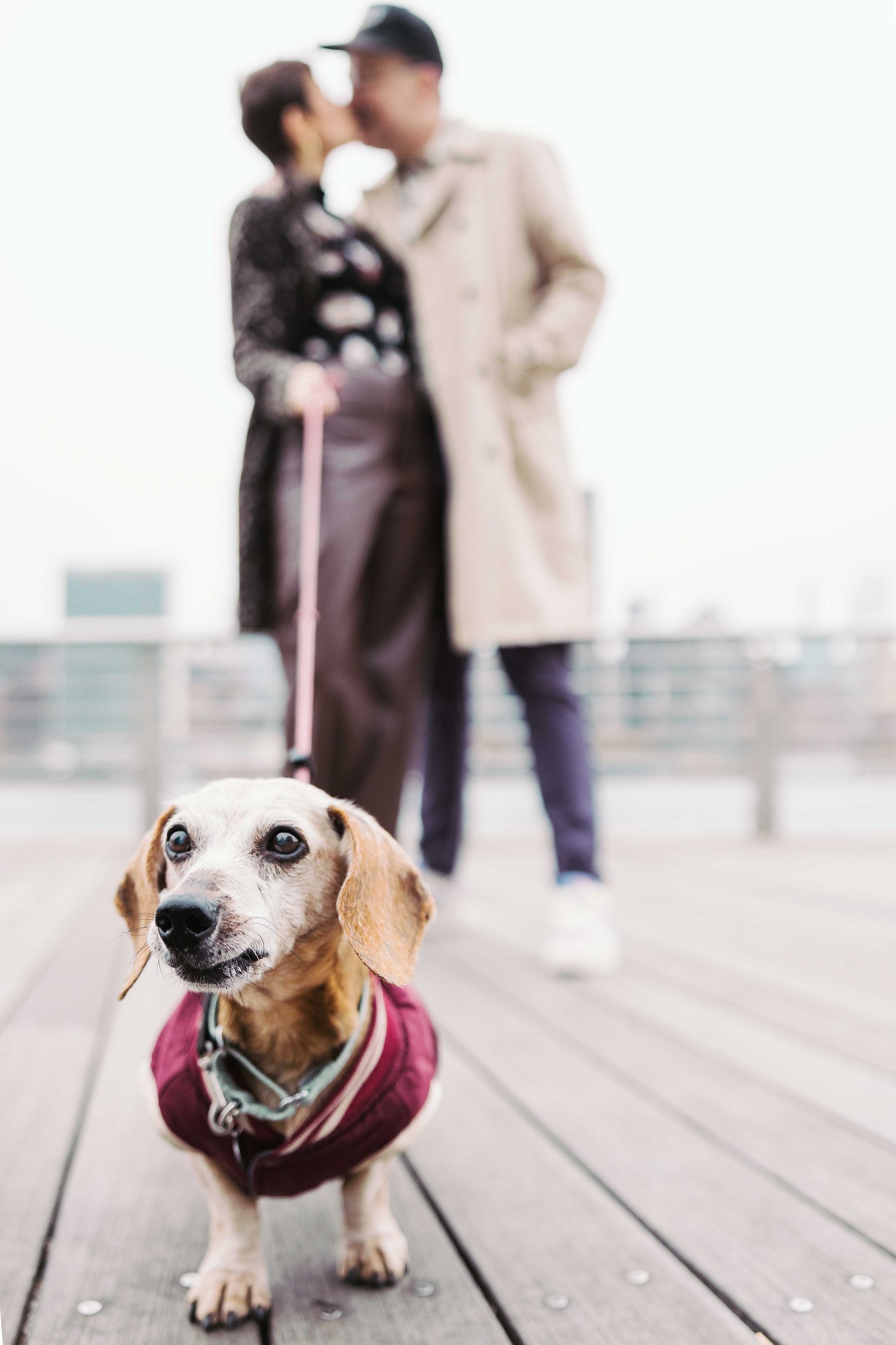 hot dog dog with couple kissing in the background, out of focus. family portrait sessions mc3 photo 