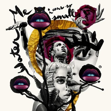 FKA Twigs Collage by David J Weissberg