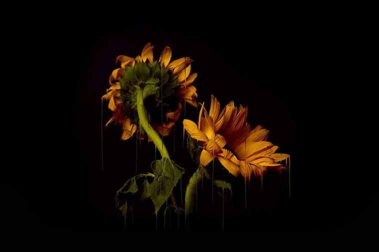 Beautiful Image Making by Ryan Blackwell and Nastassia Winge