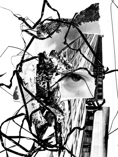 beautiful image making by paul van trigt