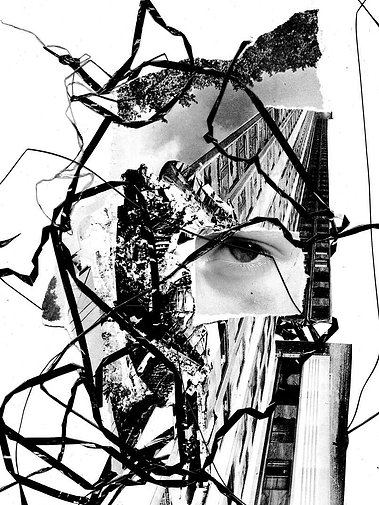 beautiful image making by paul van trigt
