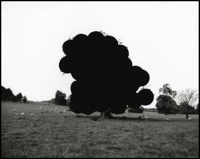 artist Aliki Braine black and white hole punched photograph
