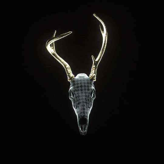 Gif of a skull by Kevin Crompwell for Beyond Photography