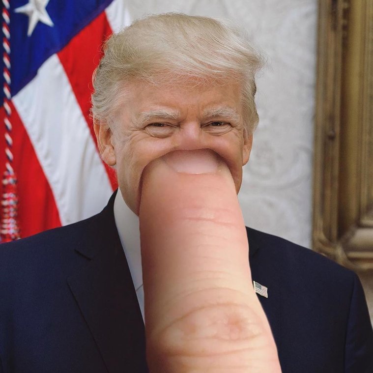 Donald trump funny meme by Johnny smith for beyond photography