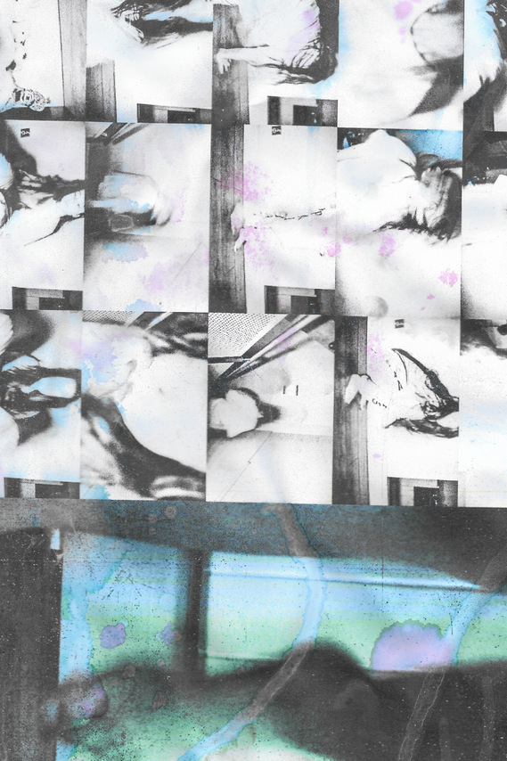 contemporary collage artist | Jitnapa Jaroenvejjakarn