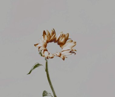 Experimental Art Direction