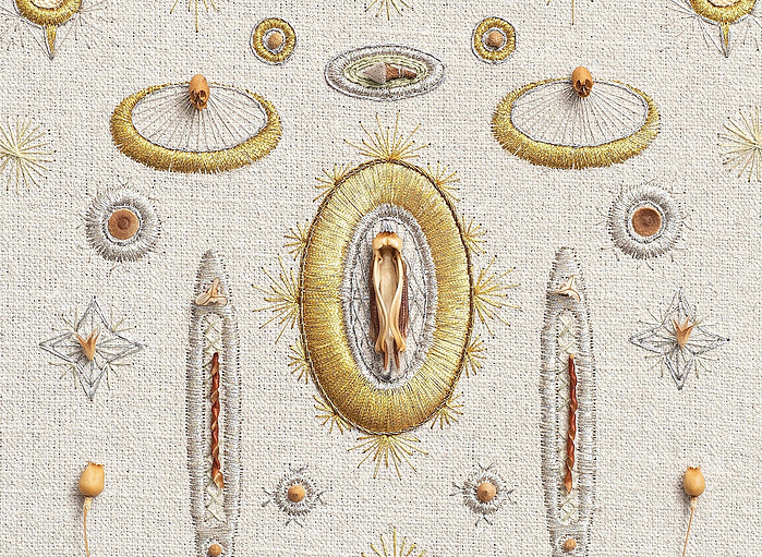 Novelle (Detail) 2019 verschiedene Pflanzenteile, Stickgarn, Leinen, 46 x 36cm