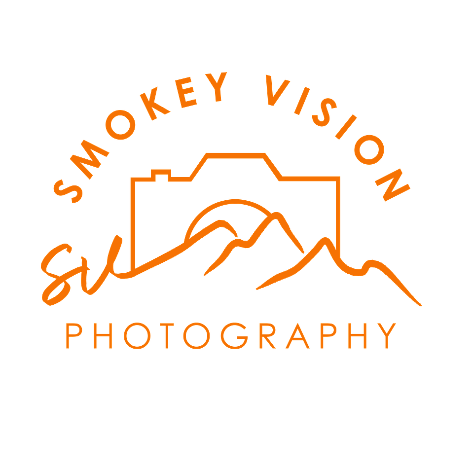 Victoria Slaugh's Portfolio