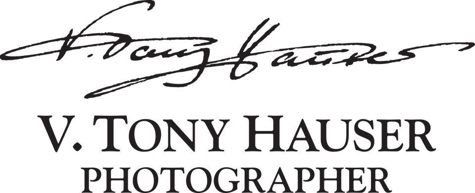 V Tony Hauser Photographer