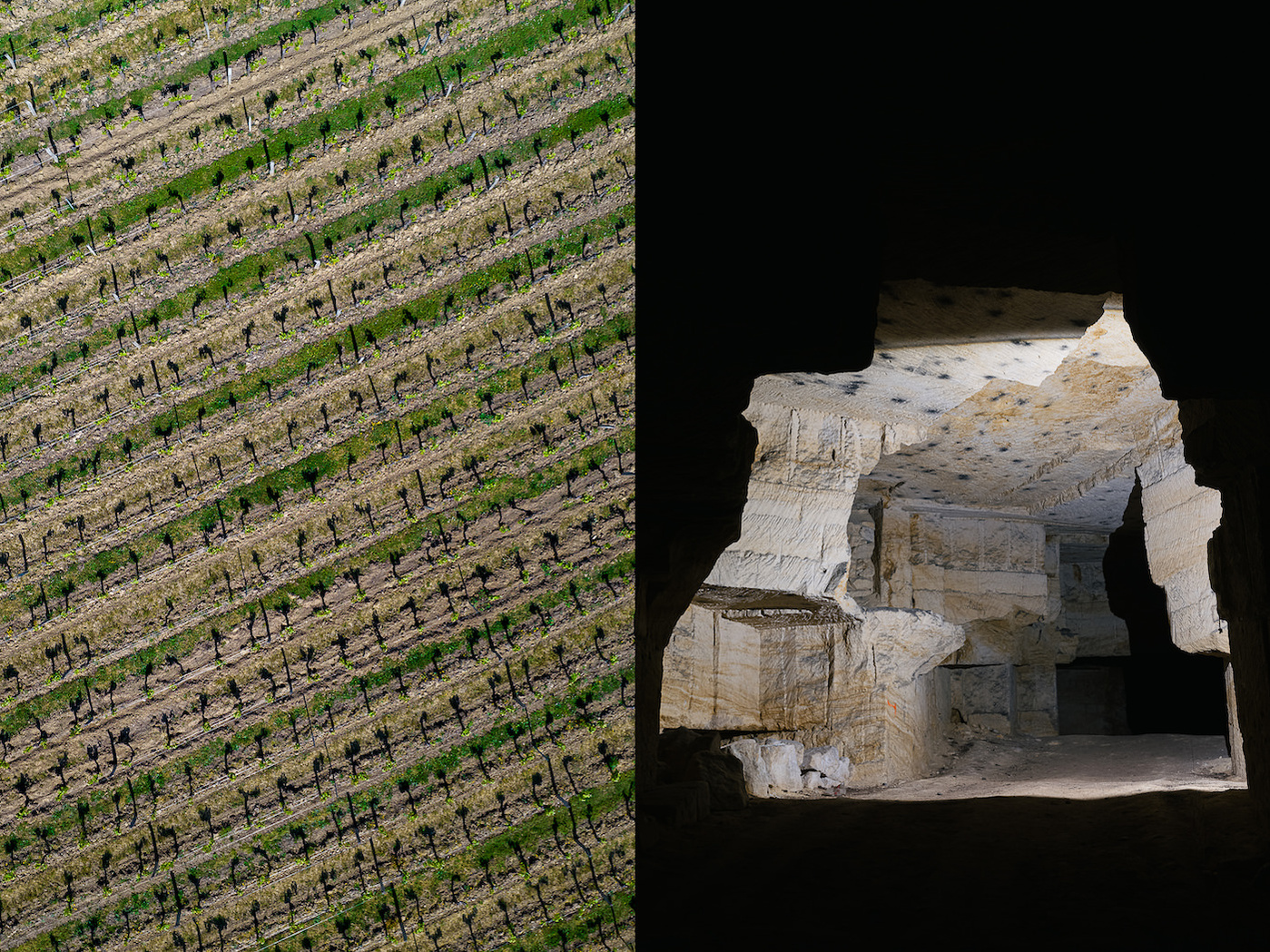 Vues du Château Le Prieuré, Grand Cru Classé de Saint-Emilion. Photo  © Brice Braastad - Episode II