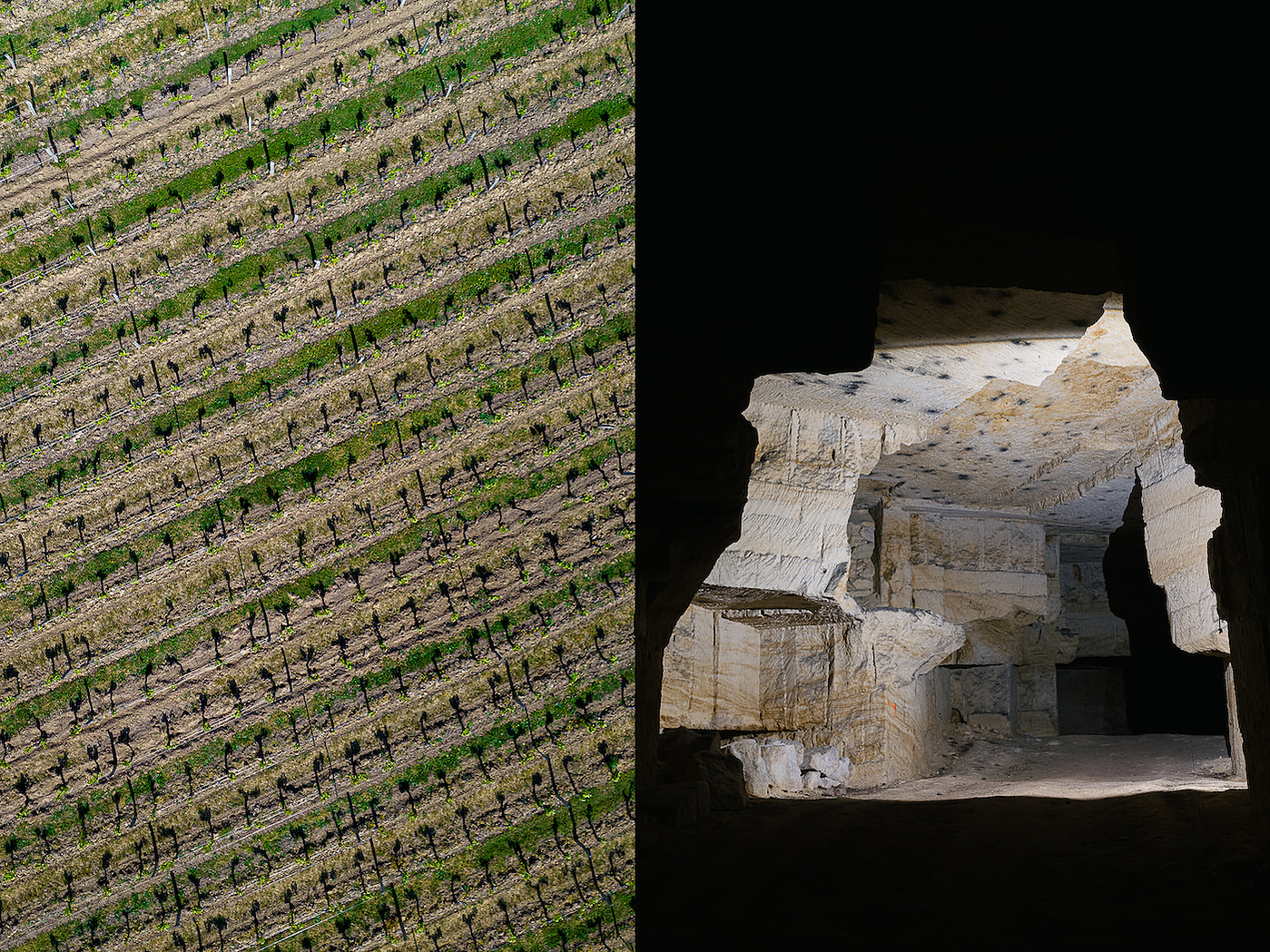 Vues du Château Le Prieuré, Grand Cru Classé de Saint-Emilion. Photo  © Brice Braastad - Episode II