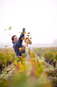 Photo © Brice Braastad - Episode II - Chateau Rauzan-Ségla, Margaux, France