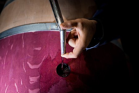 Photo © Brice Braastad - Episode II - Chateau Rauzan-Ségla, Margaux, France