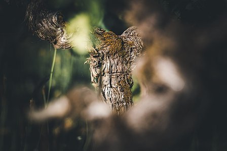 Photo © Brice Braastad - Episode II