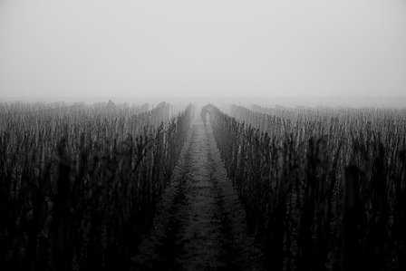 Photo © Brice Braastad - Episode II - Chateau Canon, Saint-Emilion, France