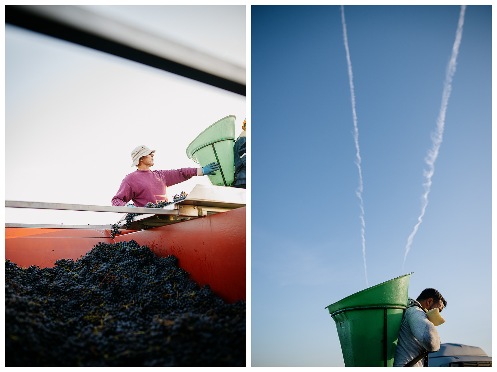 Vendanges au Château Cantemerle, par Brice Braastad - EPISODE II.