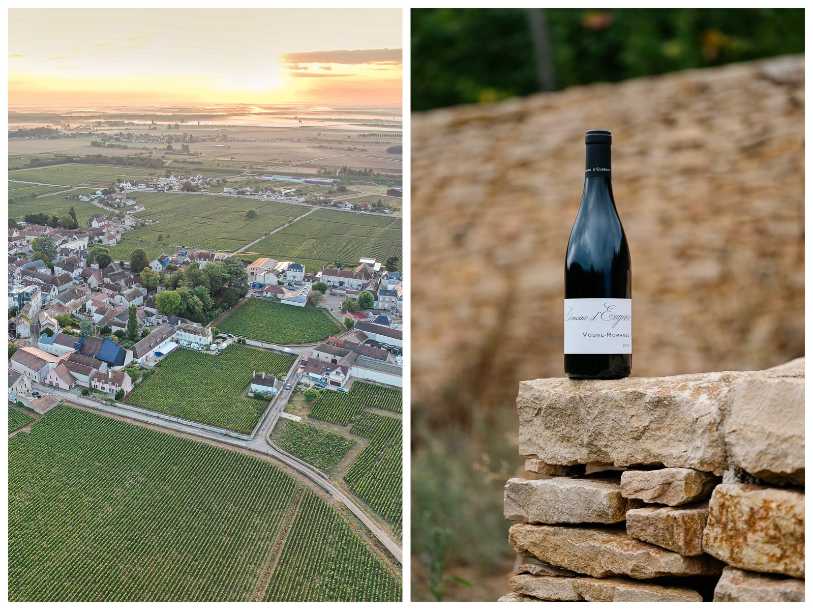 Dernière série réalisée, le suivi des vendanges du Domaine d'Eugenie à Vosne Romanée. 