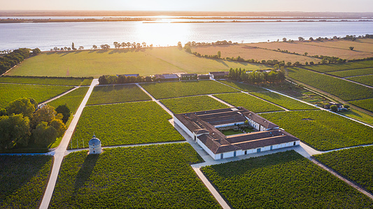Photo © Brice Braastad - Episode II - Chateau Latour, Pauillac, France