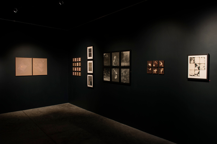 "Wednesday Sutherland" "palm tree" darkroom "silver gelatin print" "making pictures" "james rhodes" "aidan gageler" "peta lumley" "liz o'brien" "newcastle artist" "newcastle photomedia artists" photomedia "the creator incubator"
