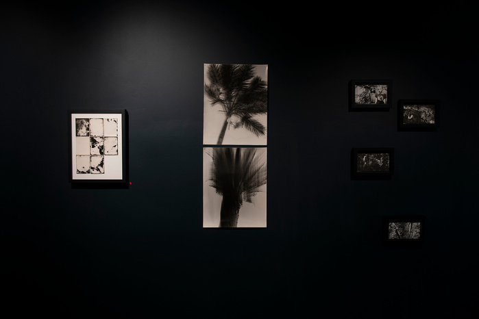 "Wednesday Sutherland" "palm tree" darkroom "silver gelatin print" "making pictures" "james rhodes" "aidan gageler" "peta lumley" "liz o'brien" "newcastle artist" "newcastle photomedia artists" photomedia "the creator incubator"
