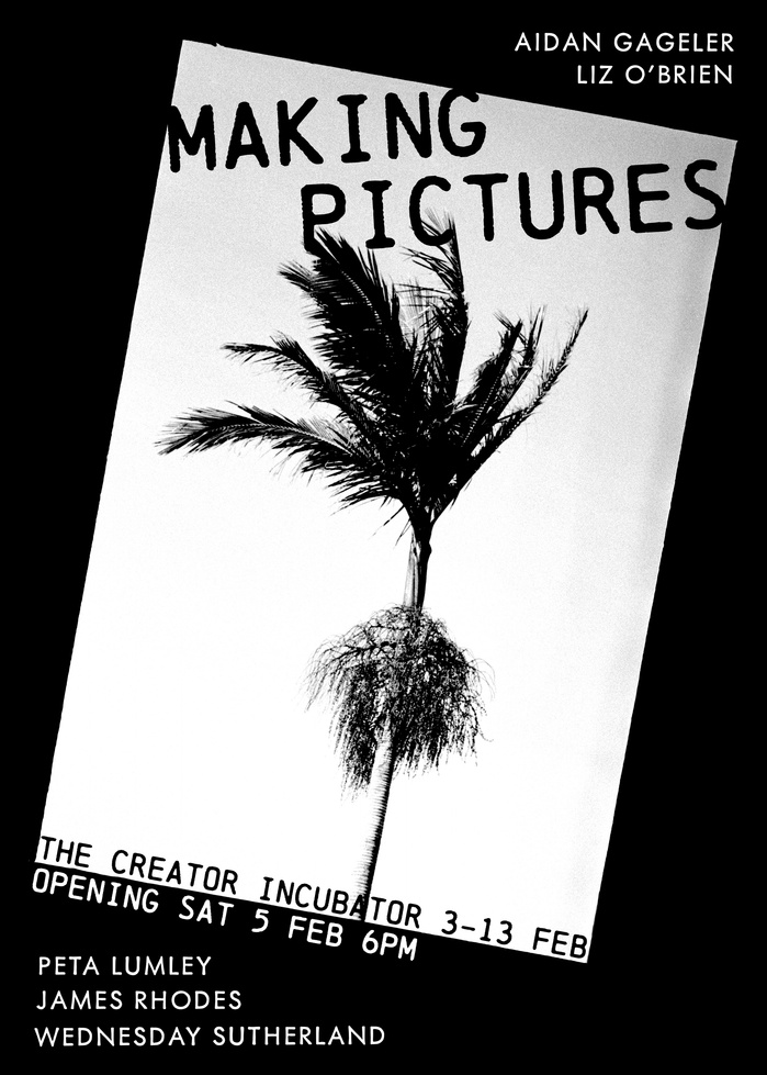 "Wednesday Sutherland" "palm tree" darkroom "silver gelatin print" "making pictures" "james rhodes" "aidan gageler" "peta lumley" "liz o'brien" "newcastle artist" "newcastle photomedia artists" photomedia "the creator incubator"