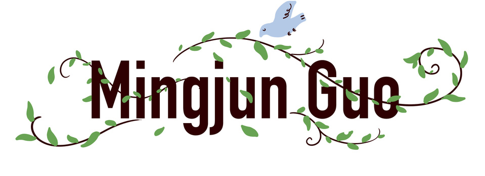 Mingjun Guo's Portfolio
