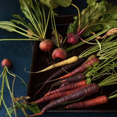 freshly pulled garden veg rainbow carrots and red, orange and yellow beetroots in a tray on a dark background