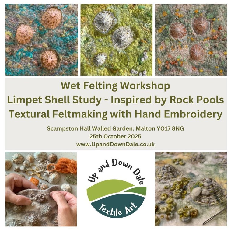 learn how to wet felt a limpet, Rockpool inspired textural picture with feltmaker Lynn Comley aka Up and Down Dale 
