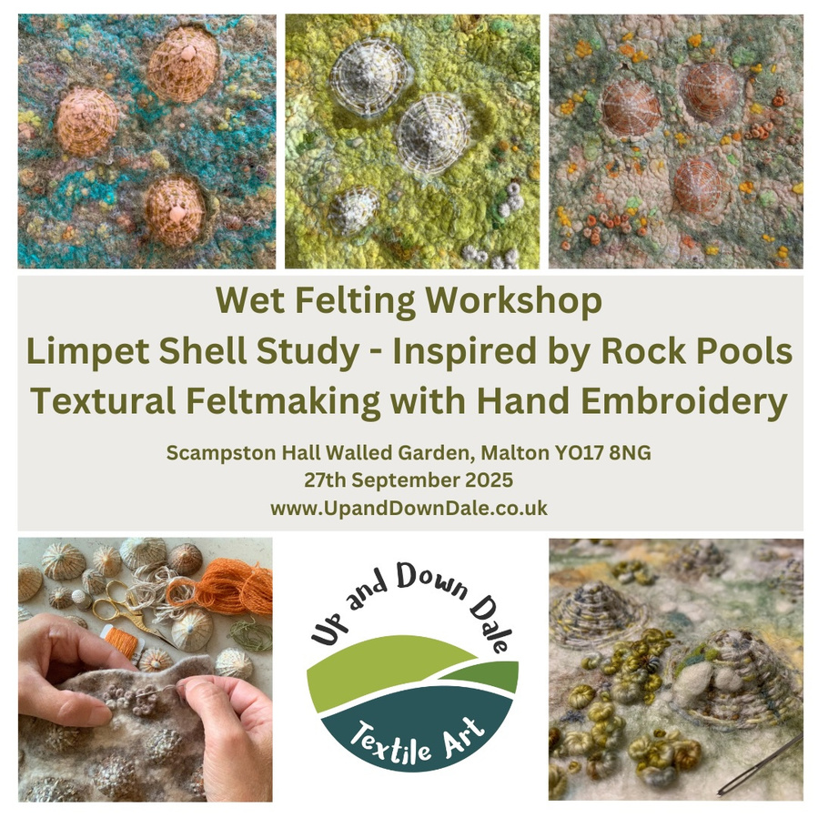 Wet felting workshop, textures 3D and 2D limpet shell rock pool inspired workshop with Lynn Comley Up and Down Dale textile artist 