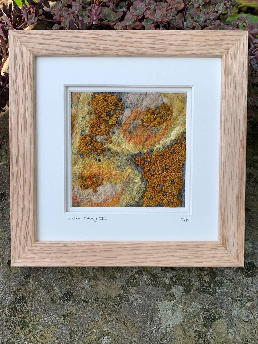 This textural work has been made by wet felting  wool with silk. Finished with hand embroidery. Based on Lichen on the west coast of Scotland by felt artist Lynn Comley aka UpandDownDale