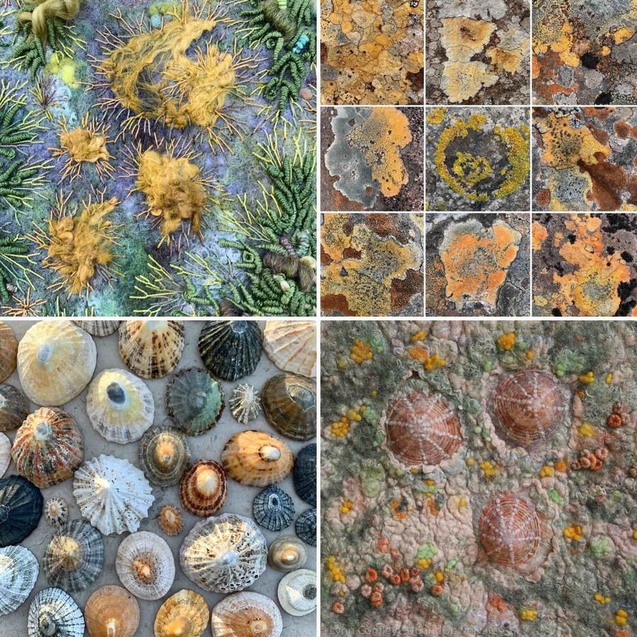 Embroidery moss and lichen inspired greeting card. Limpet inspired greeting card from original artwork by textile artist Lynn Comley