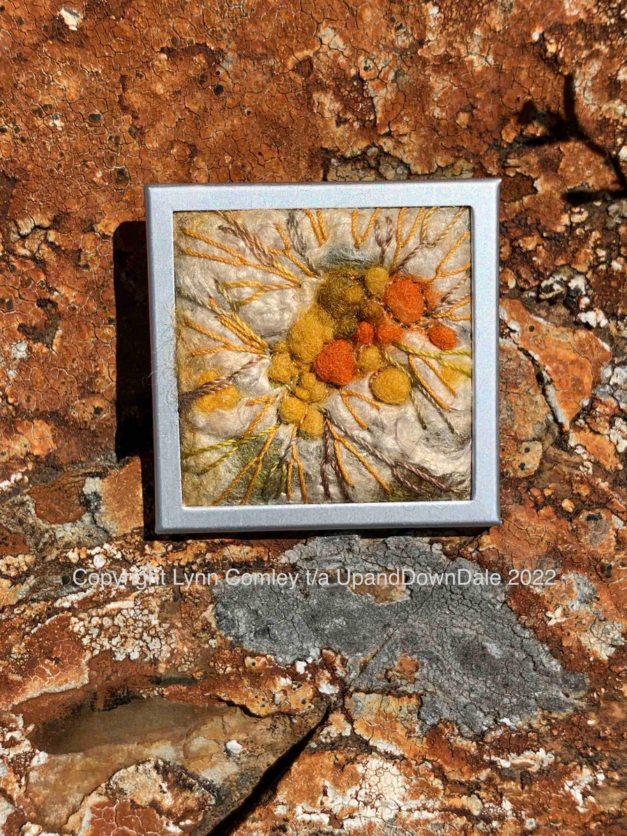 Lichen brooch by UpandDownDale feltmaker Lynn Comley, hand crafted wearable textile art. Original affordable art by Yorkshire textile artist and maker 