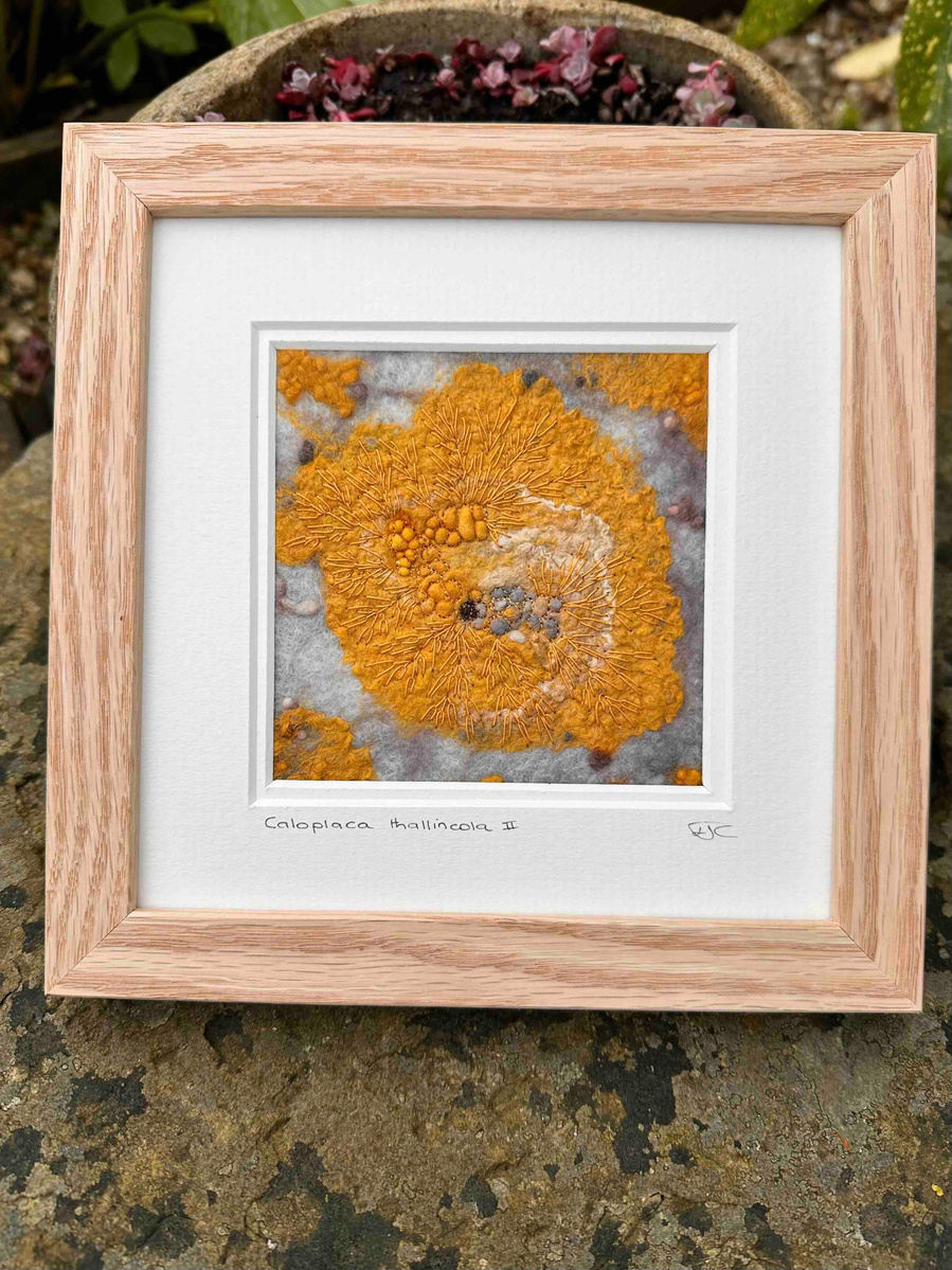 Wet felting with embroidery textile artist Lynn Comley is a Yorkshire artist, focusing on moss lichens and limpets 