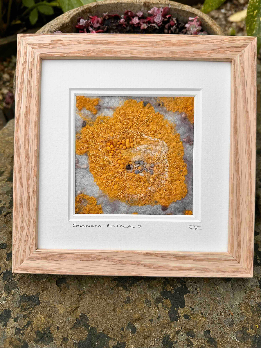 Wet felting with embroidery textile artist Lynn Comley is a Yorkshire artist, focusing on moss lichens and limpets 