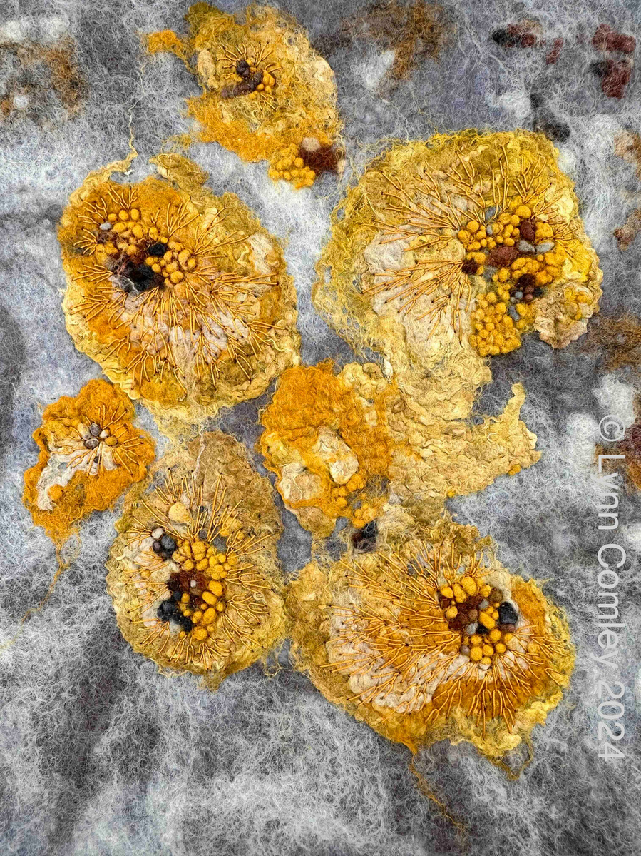 Textile studies inspired by coast lichens by felt and stitch artist LYNN COMLEY. Lynn runs workshops at Scampston Hall Walled Garden 