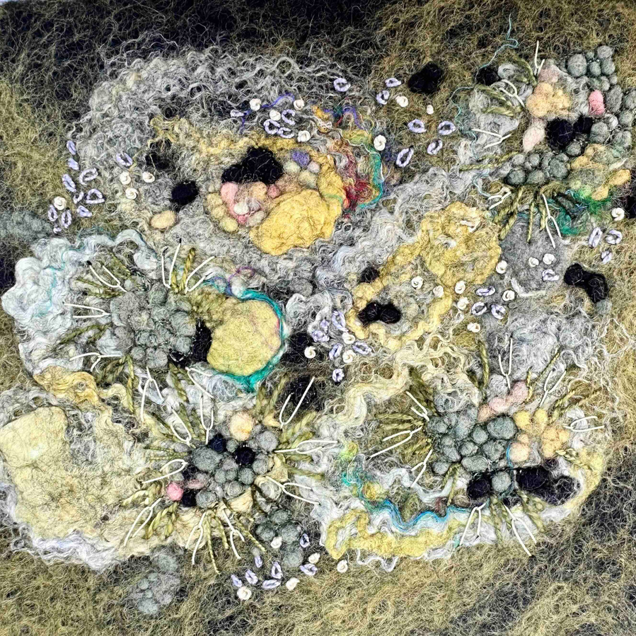 Lichen textile art by UpandDownDale artist Lynn Comley, is a felt and embroidery artist 