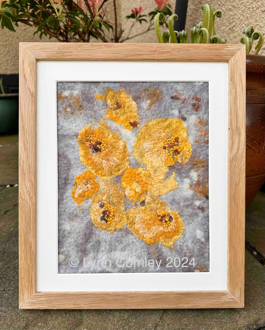 Caloplaca thallincola, lichen inspired felt and stitched textile art by Lynn Comley. Artwork inspired by nature Upanddowndale 
