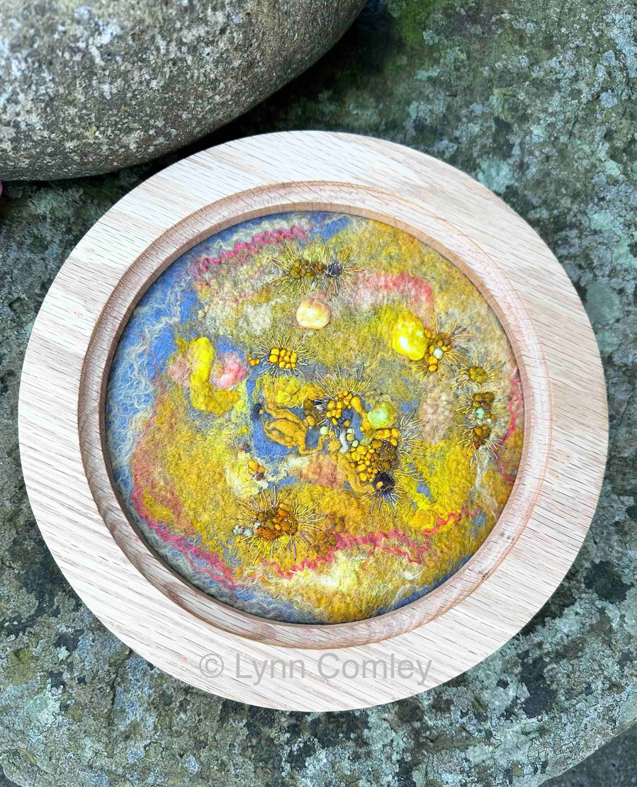 wet felted abstract lichen inspired textile art by British felt & stitch artist Lynn Comley 