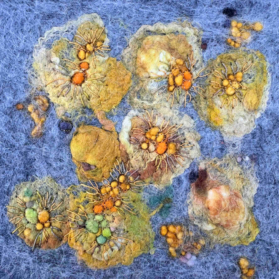How to wet felt for embroidery. Lichen studies by Yorkshire artist Lynn Comley aka Up and Down Dale, Inspired by the North Yorkshire and Dorset coast