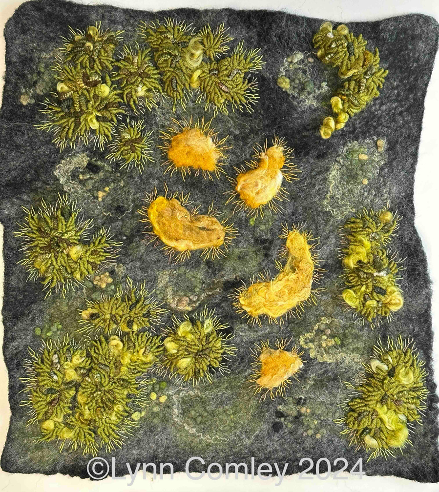 Forest floor wet felt and stitch  textile art by Lynn Comley work was part of the St.Barbe museum in Lymington, New forest national park, Hampshire. Inspired by national park flora