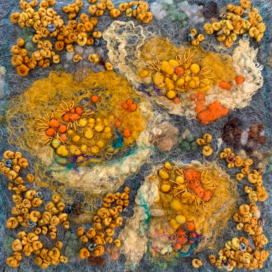Lichen study IV by UpandDownDale textile artist Lynn Comley. Hand embroidered lichen textural work. lichens discovered on the West Coast of Scotland