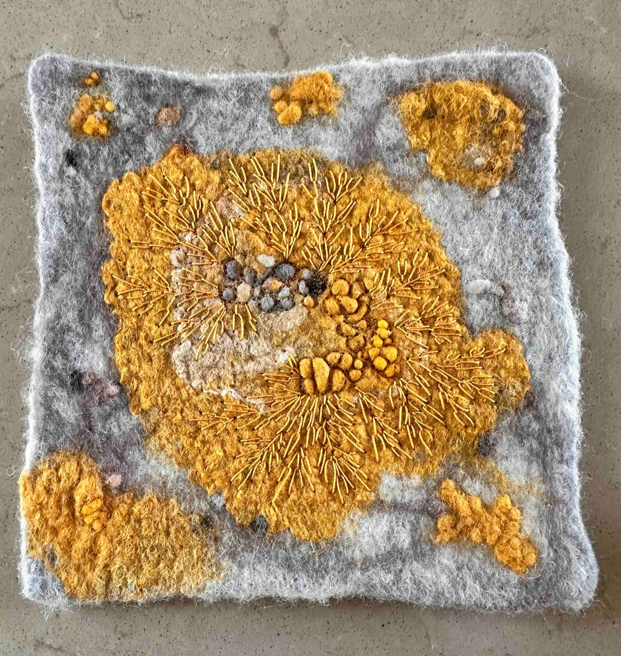 Lichen study by British feltmaker Lynn Comley. Moss and lichens inspired art  