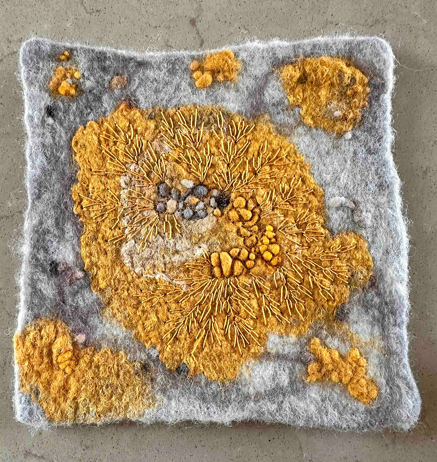 Lichen study by British feltmaker Lynn Comley. Moss and lichens inspired art  