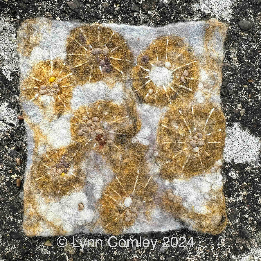 Felt & stitch lichen picture by Lynn Comley aka Up and Down Dale 