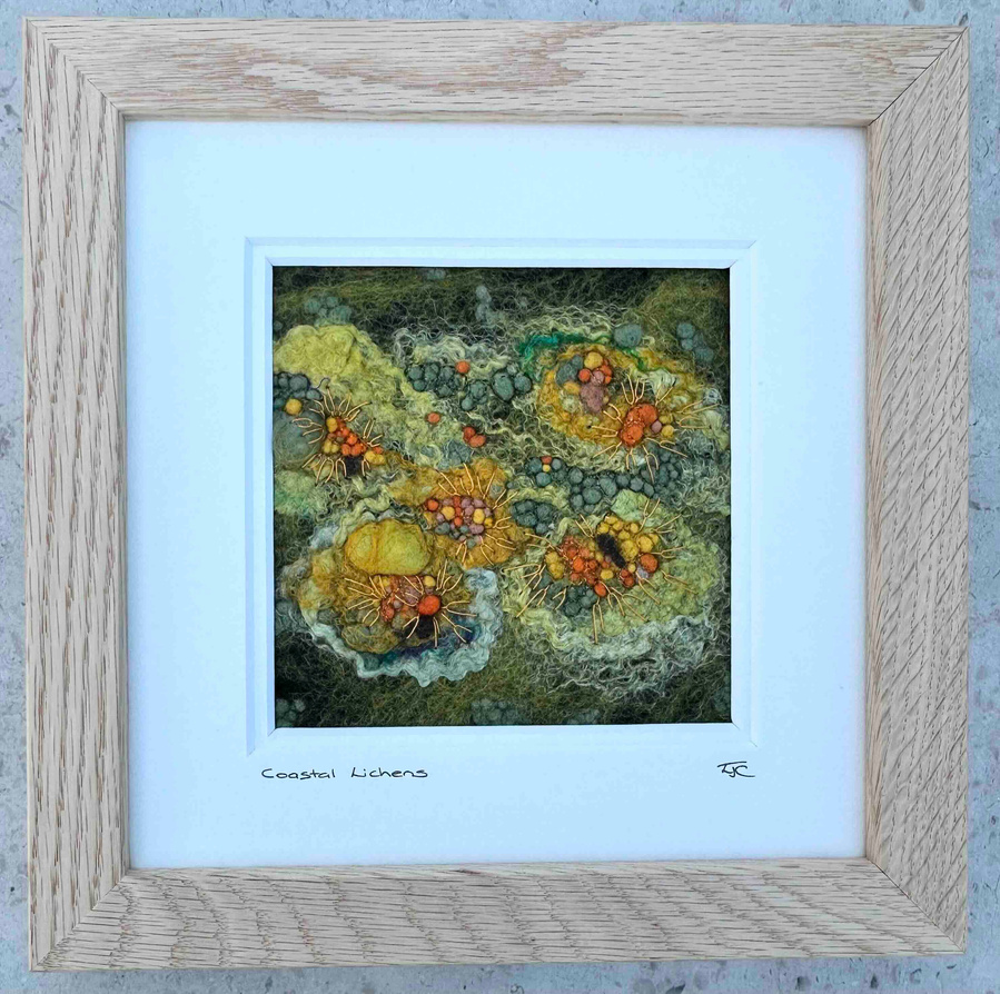 Abstract textile art by British felt and embroidery artist Lynn Comley, inspired by lichens growing amongst the spray zone on the British coastline 