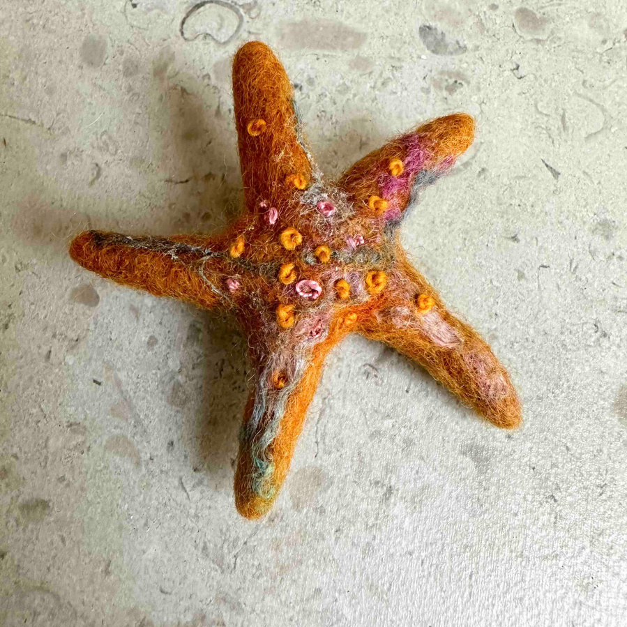 Starfish brooch wet felted by Northern textile artist UpandDowndale 