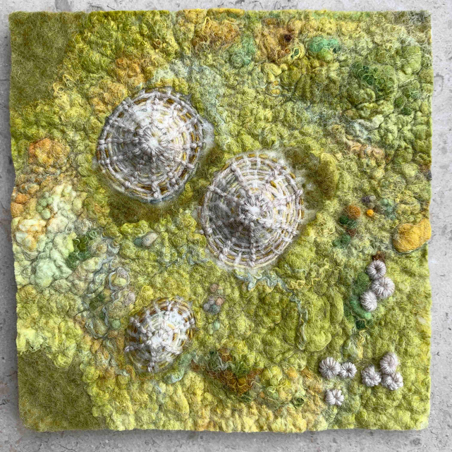 Wet felting,  felt textile artist Lynn Comley created limpet shells made entirely by wet felting wool with hand embroidery. North Yorkshire artist